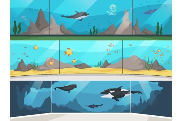 Download Museum Aquarium. Underwater Zoo Children - Aquarium Collection